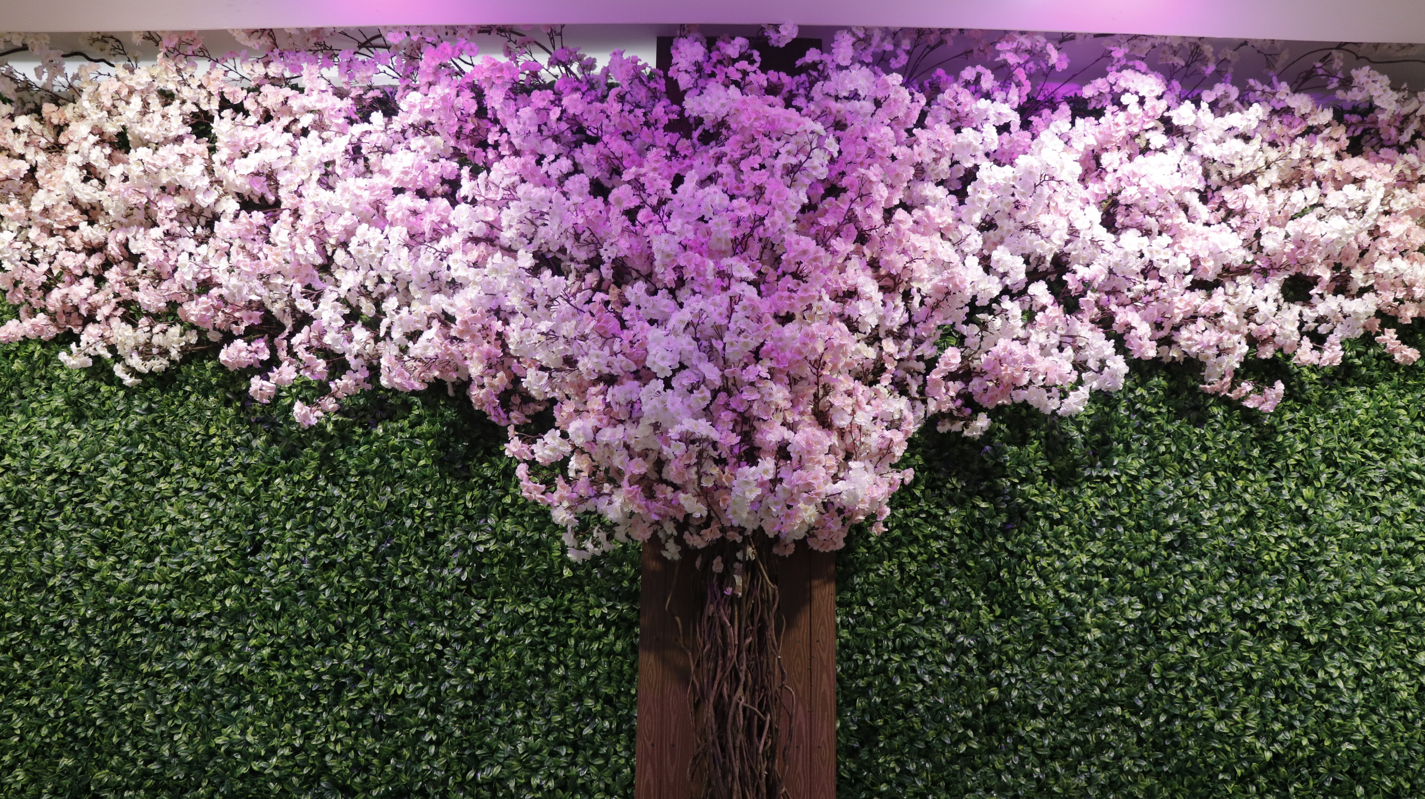 انواع درخت مصنوعی