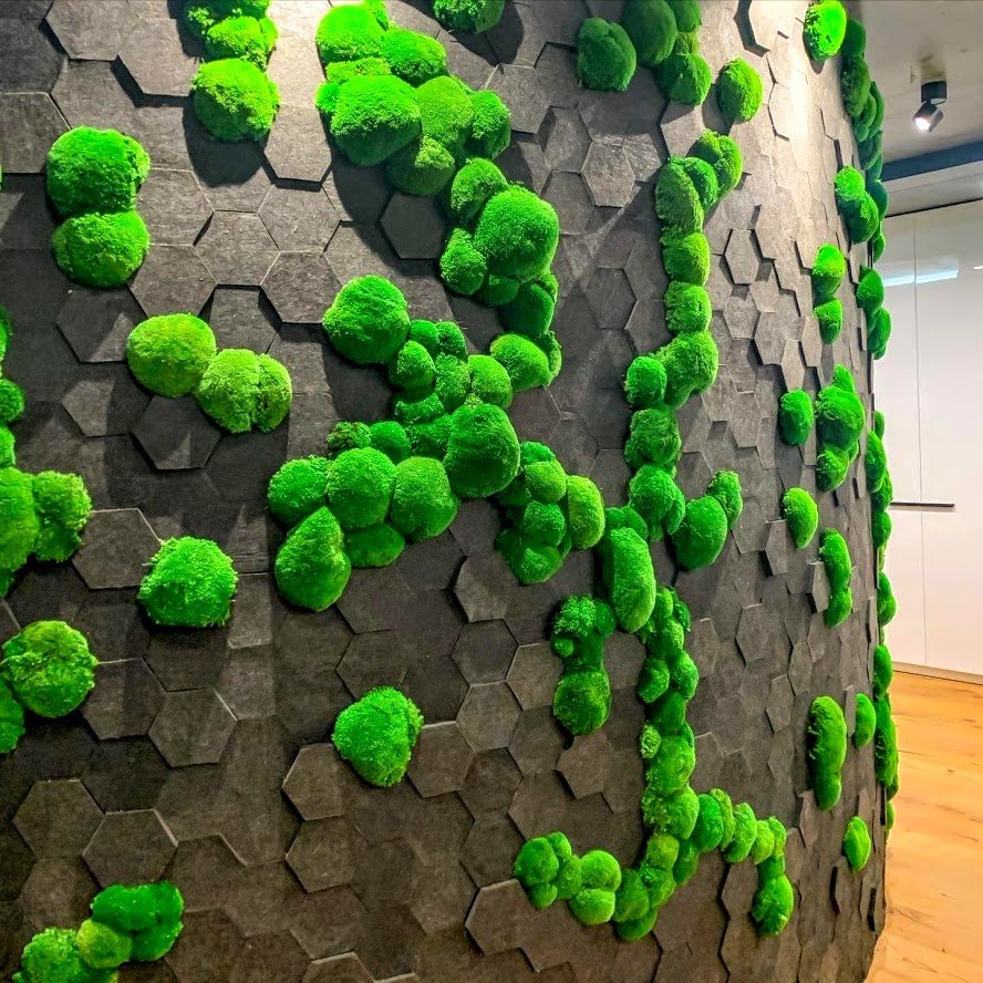 ماس وال (دیوار خزه ای )