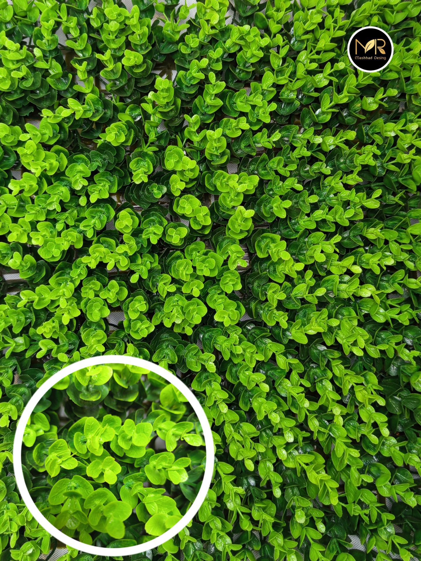 پنل گرین وال شمشاد دو رنگ