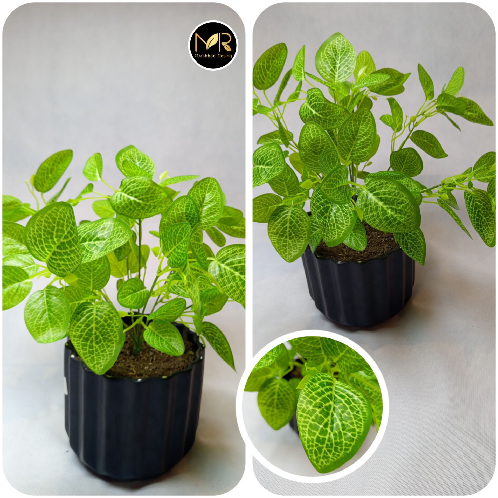 بوته برگ چاپی