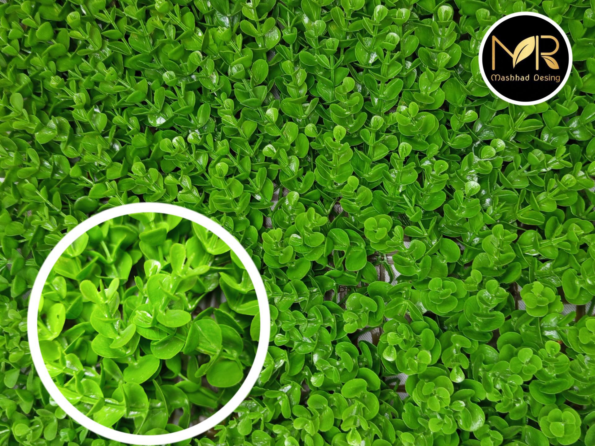 پنل گرین وال شمشاد تک رنگ