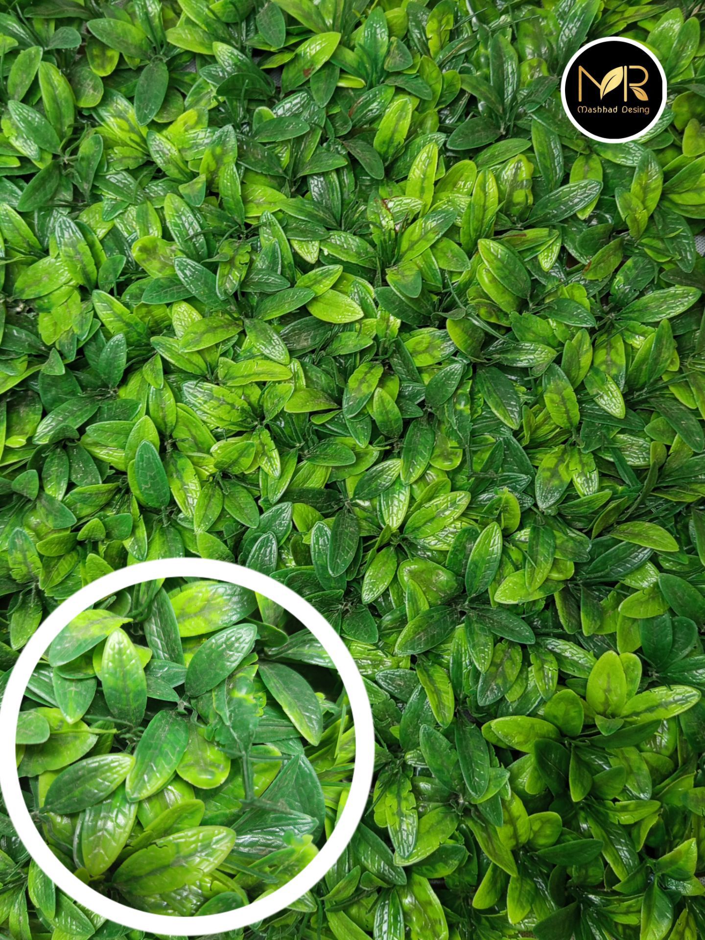 پنل کرتون و پرتغالی