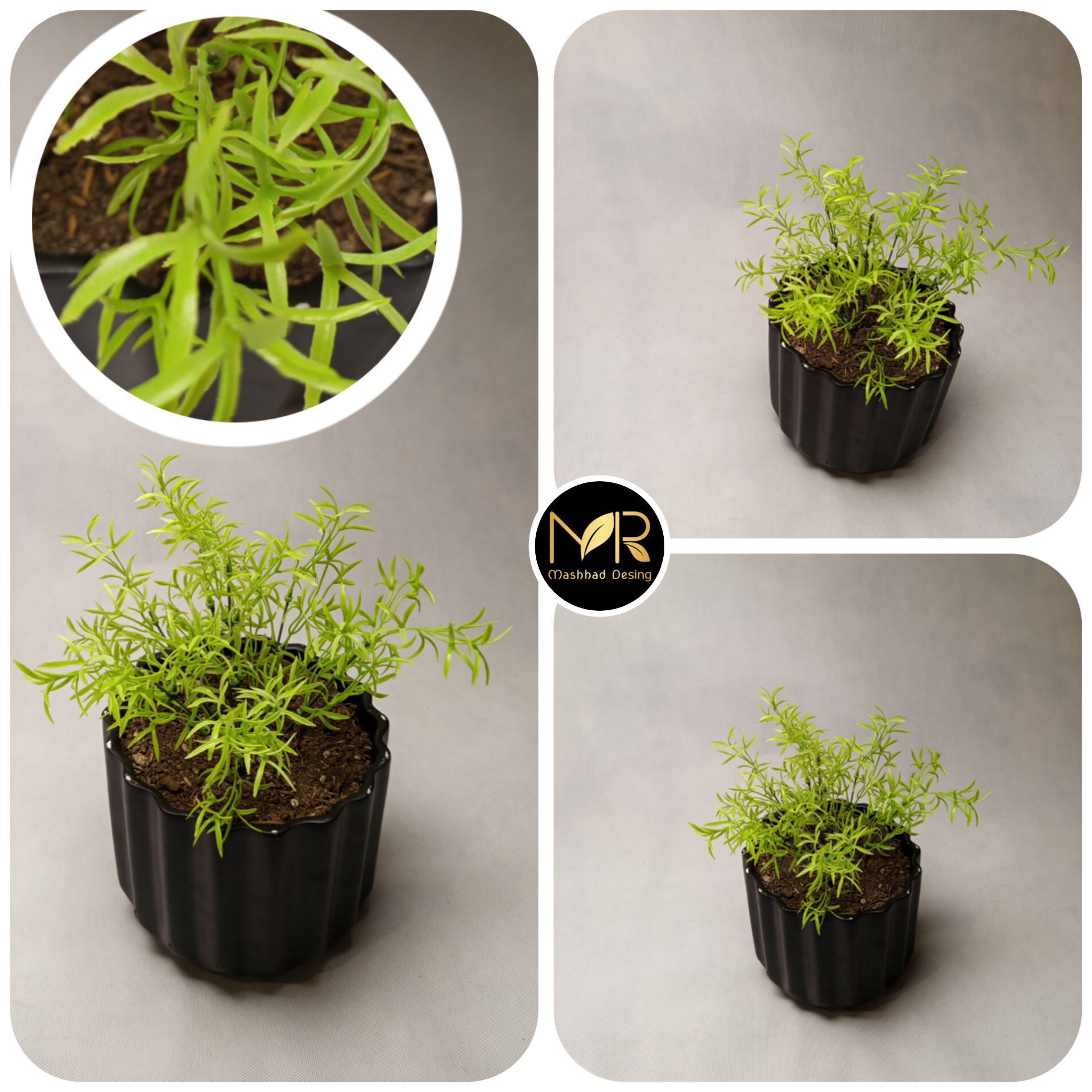 بوته پلاستیکی آلیوم