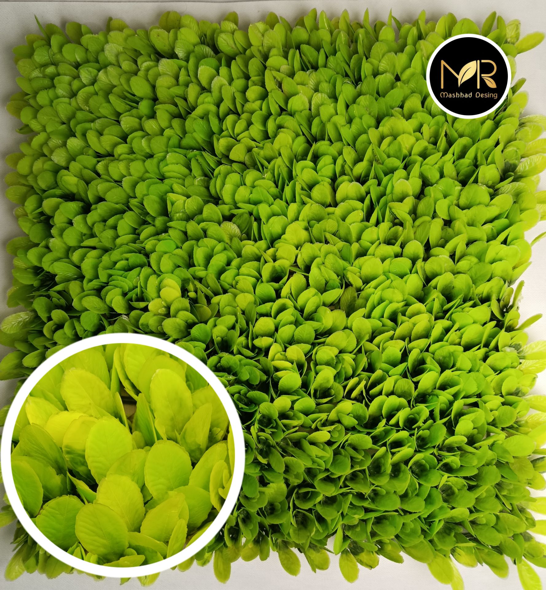 پنل گرین وال فسفری